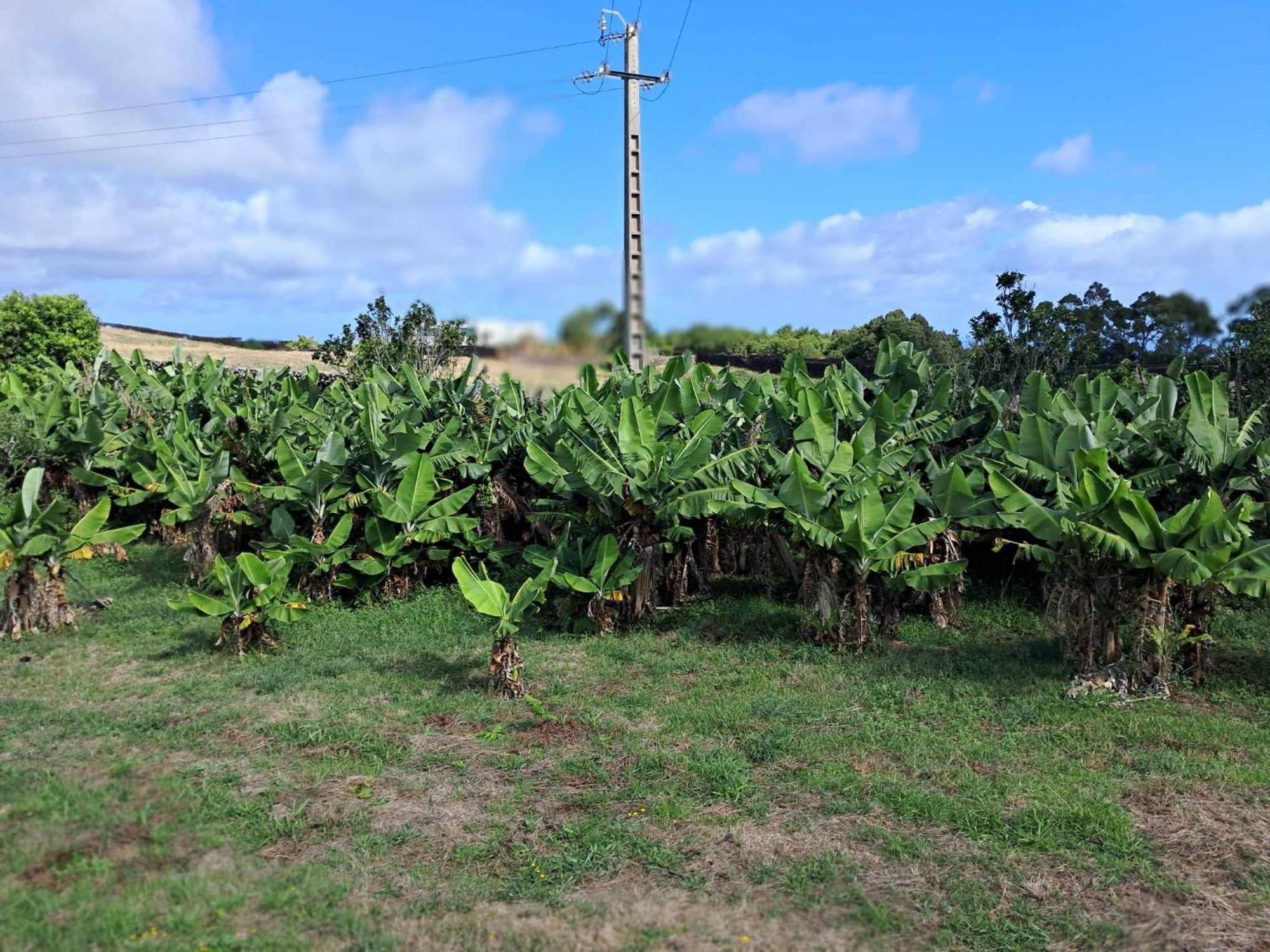 Quinta Do Norte Capelas Exterior foto